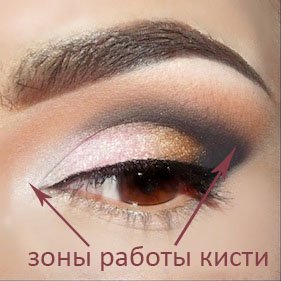 рабочая зона кисти для макияжа кисти для макияжа какая для чего нужна по описанию рабочей зоны